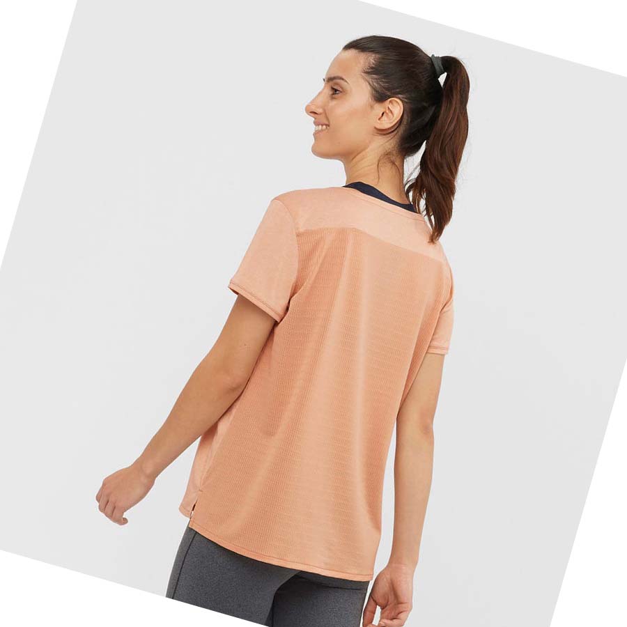 Camiseta Salomon OUTLINE SUMMER Mujer Beige | MX 2554TCE